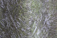 Stalland Common fibreglass roof work